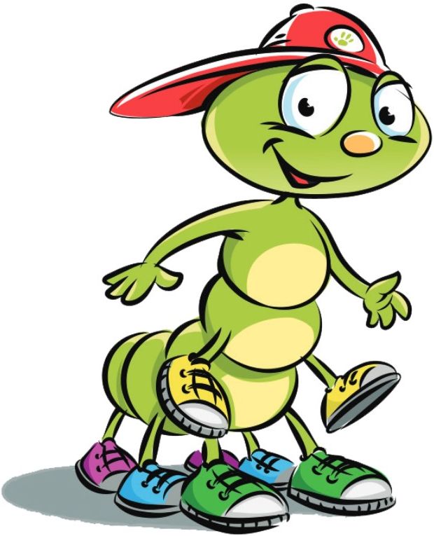 rysunek, dżdżownica Colin